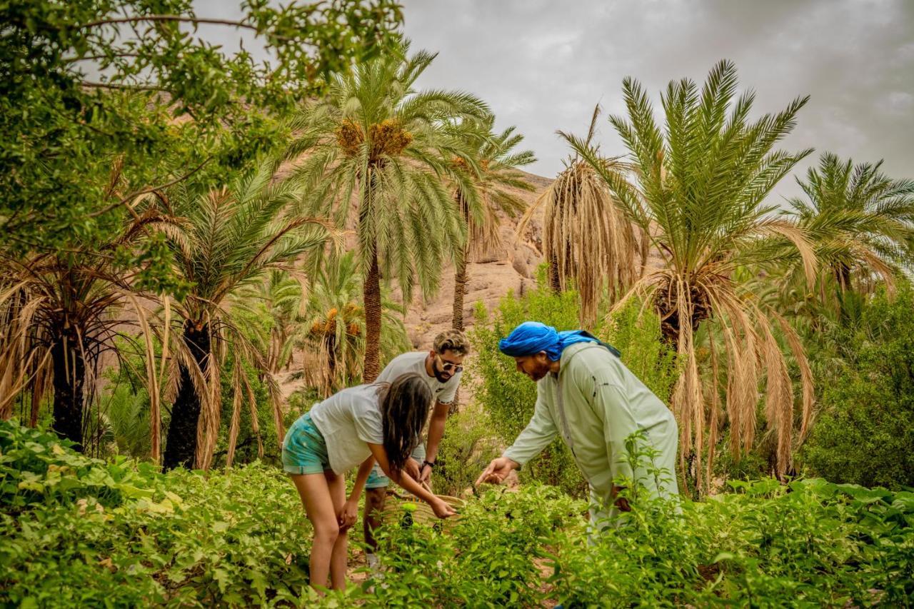 Ouednoujoum Ecolodge & Spa Ouarzazate Bagian luar foto