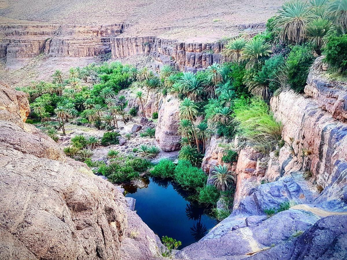 Ouednoujoum Ecolodge & Spa Ouarzazate Bagian luar foto