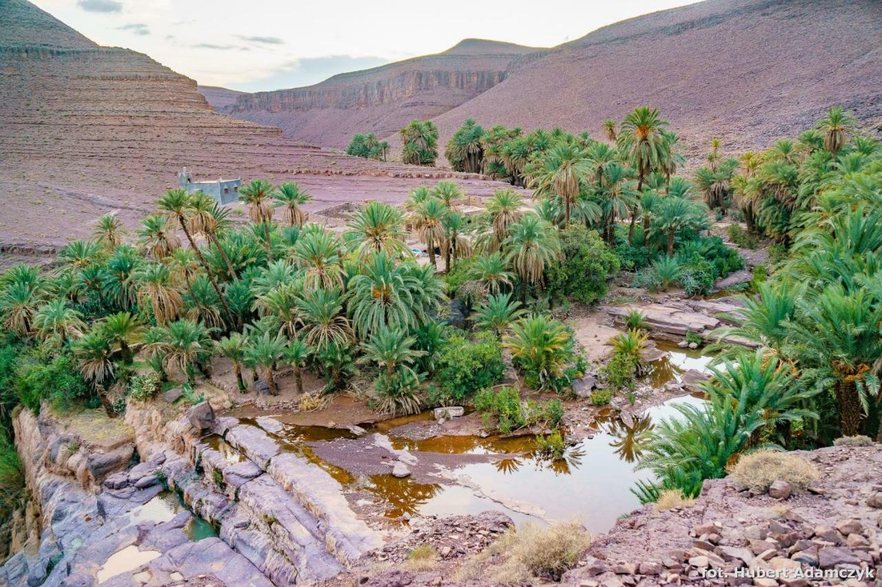 Ouednoujoum Ecolodge & Spa Ouarzazate Bagian luar foto